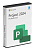 Microsoft Project Professional 2024